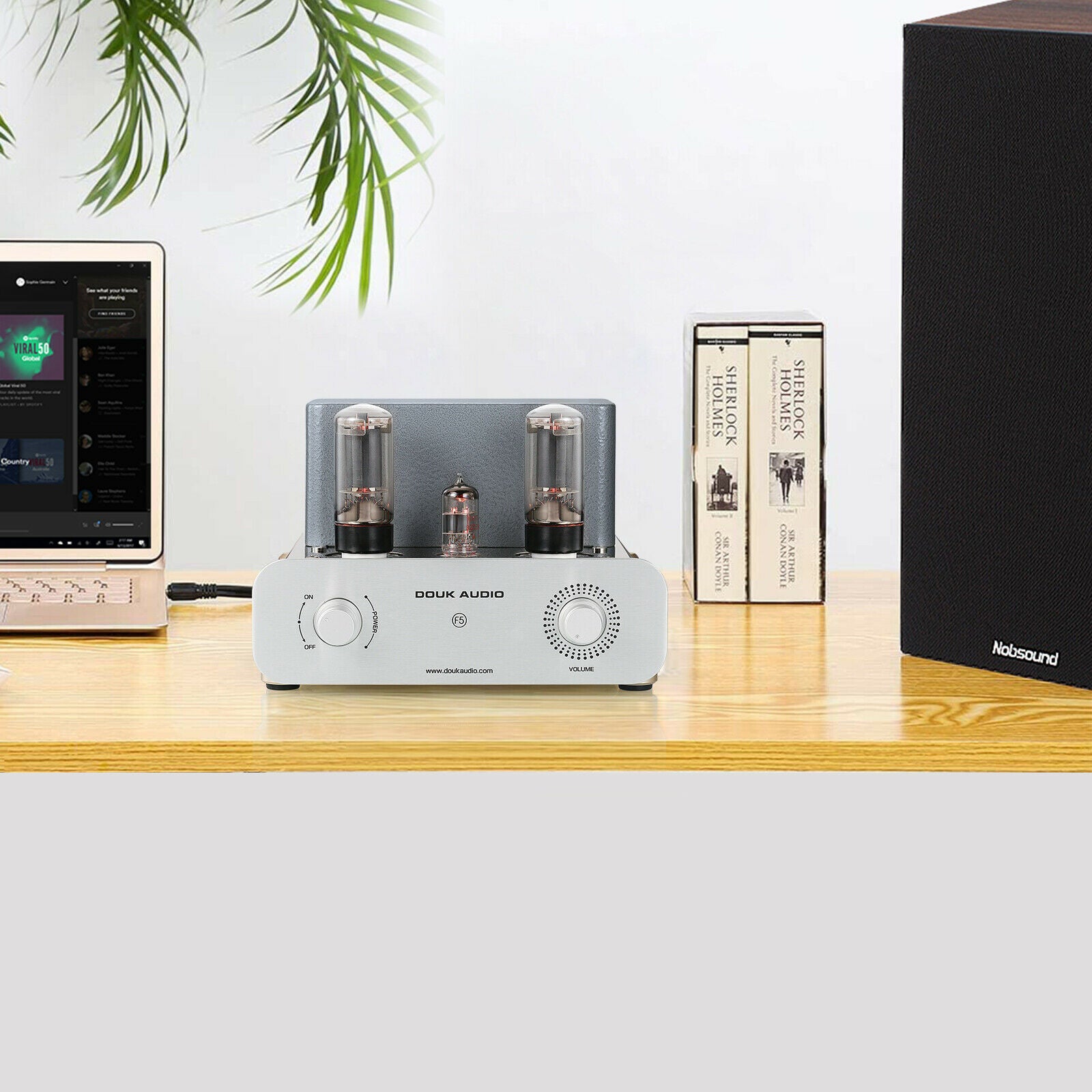 Douk Audio F5 HiFi Vacuum Tube Amplifier Pure Class A Single-ended Stereo Audio Amp