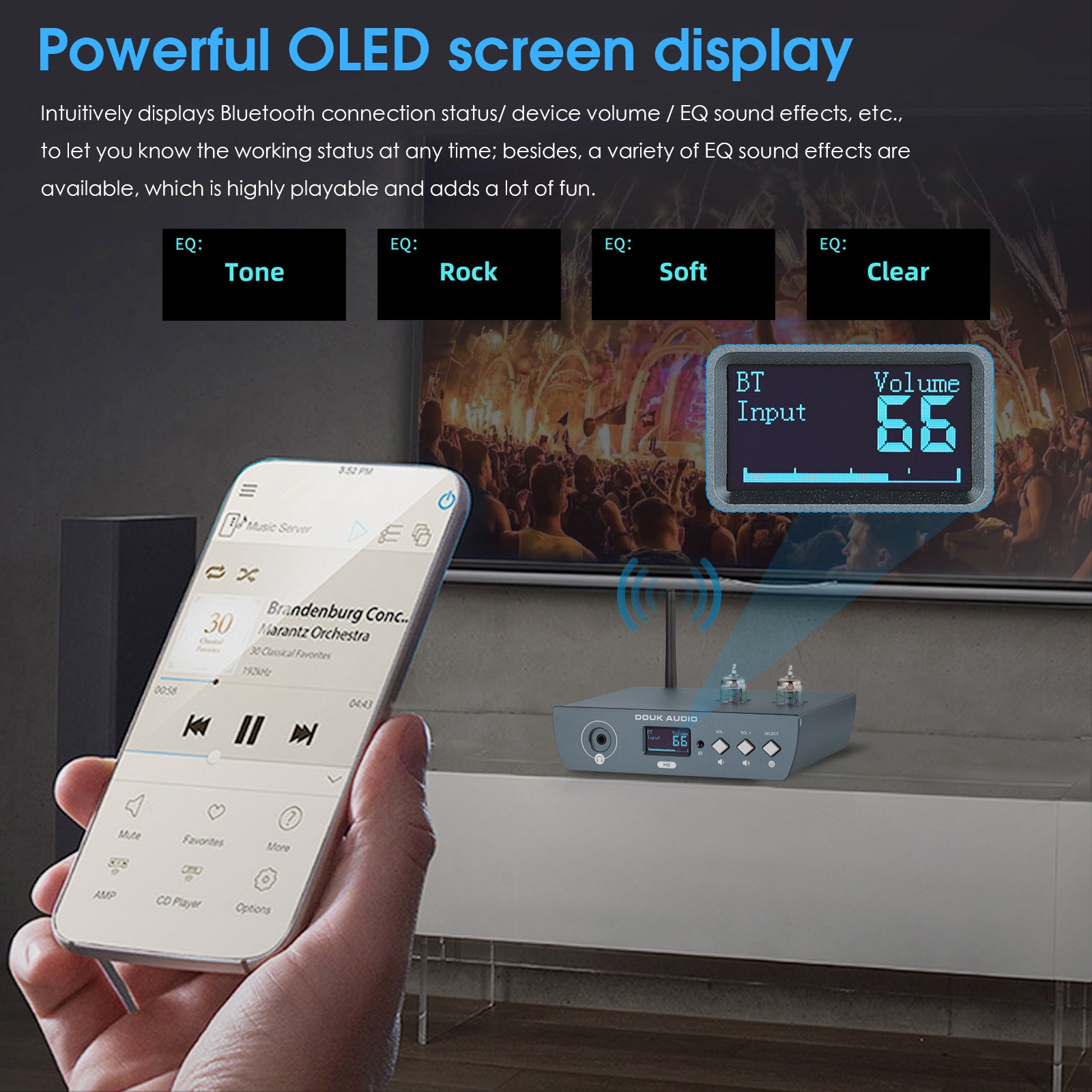 Douk Audio H8 HiFi Tube Bluetooth Preamp Receiver Balanced XLR/RCA Pre-Amplifier Headphone Amp