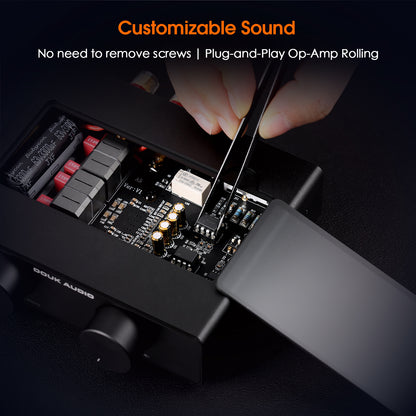 Douk Audio A5 TPA3255 Stereo Amp HiFi Audio Class D Amplifier High-pass Filter