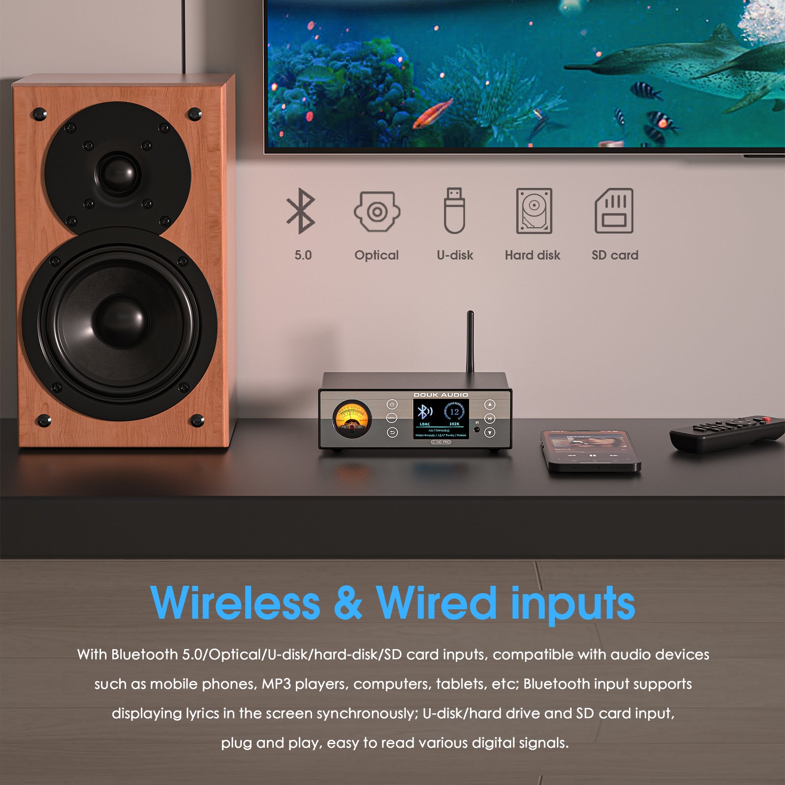 Douk Audio C100 PRO Mini Digital Audio player Hi-res Music Streamer Preamp 384K DSD