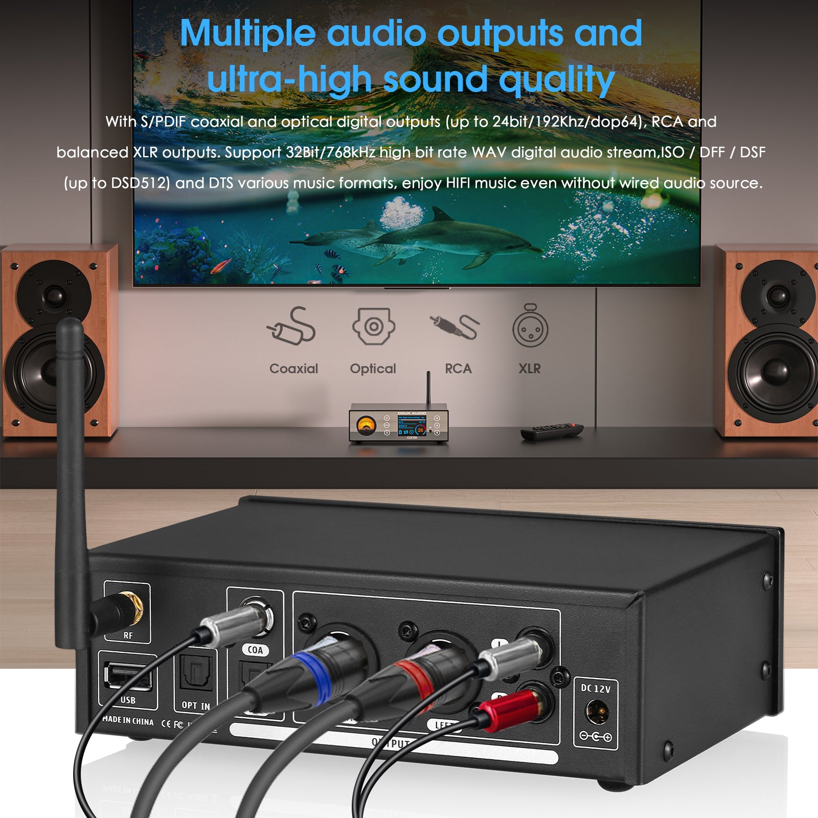 Douk Audio C100 PRO Mini Digital Audio player Hi-res Music Streamer Preamp 384K DSD