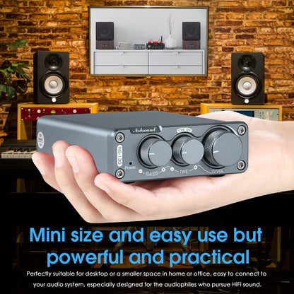 Nobsound NS-13G 迷你2.0声道数字功放机 HiFi 家用桌面音响放大器 100W+100W